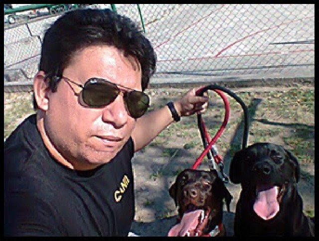 Foto 1 - Adestramento de cães metodo rapido